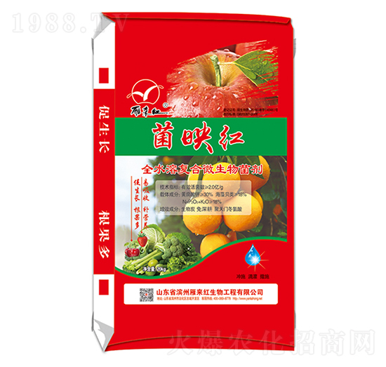 ȫˮ�܏ͺ�΢�������-��ӳ�t-����t