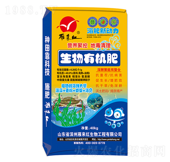 �����ЙC(j��)��-��������-����t