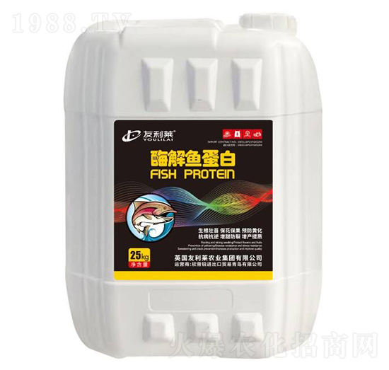 ø���~(y��)����-�����R