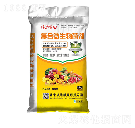 �ͺ�΢�������-�\������-�\���ʘI(y��)