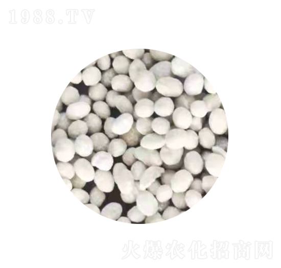 ���ȩ��(f��)�Ϸ�-�ʠ�Ԫ