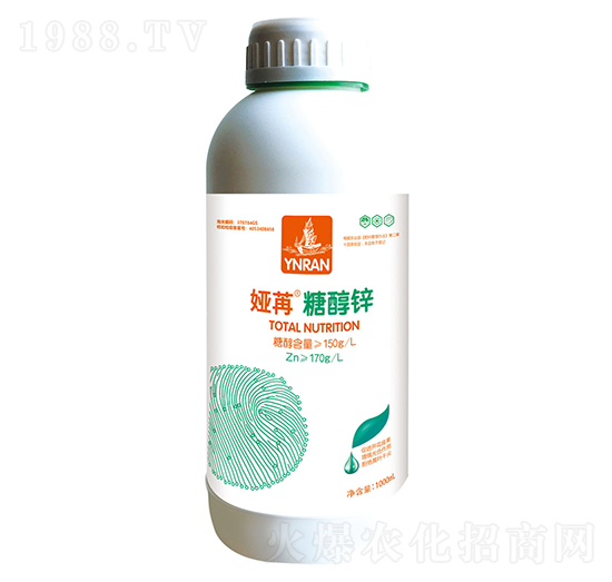 �Ǵ��\-�I��-ɽ�|�������