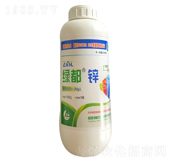 1000g�G���\-�G��