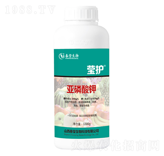 �������-���o(h��)-��������