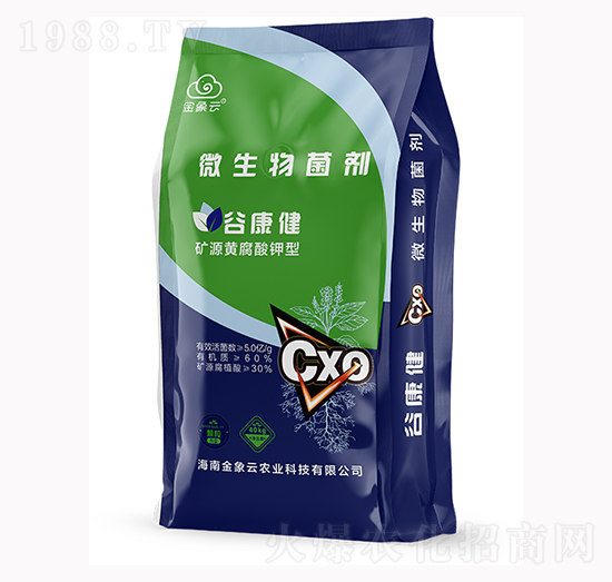 �ȿ���΢�������-�������r(n��ng)�I(y��)