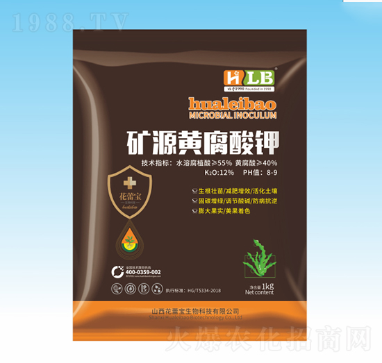 �VԴ�S�����-���ٌ�����