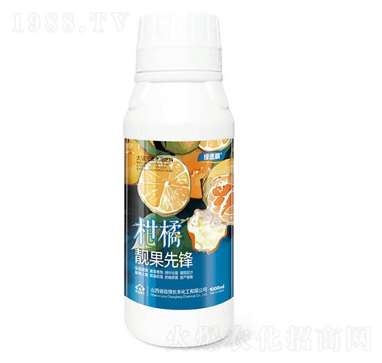 �����n�����h�G����-�L�S����