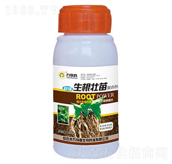100ml��������ͺτ�-�f�ﴺ
