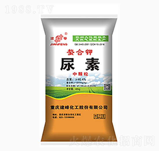 �����-����