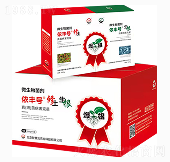 ΢�������-�z�S̖(h��o)-�ǻ���