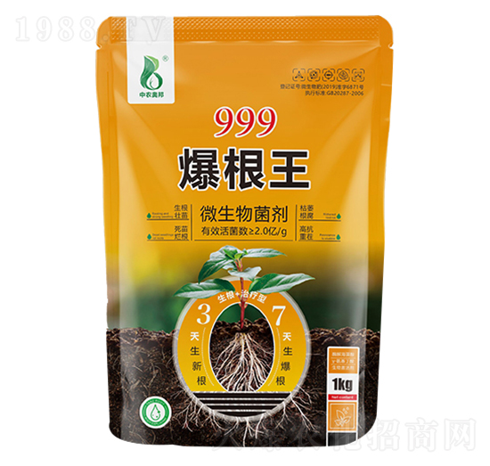 999������-���r�W��