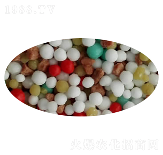 ���־�ጷ���-��ʩ��