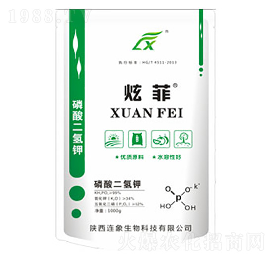 ��������-�ŷ�-�B������