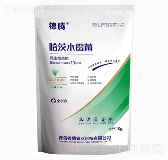 ����ľù��-�\�v�r�I(y��)