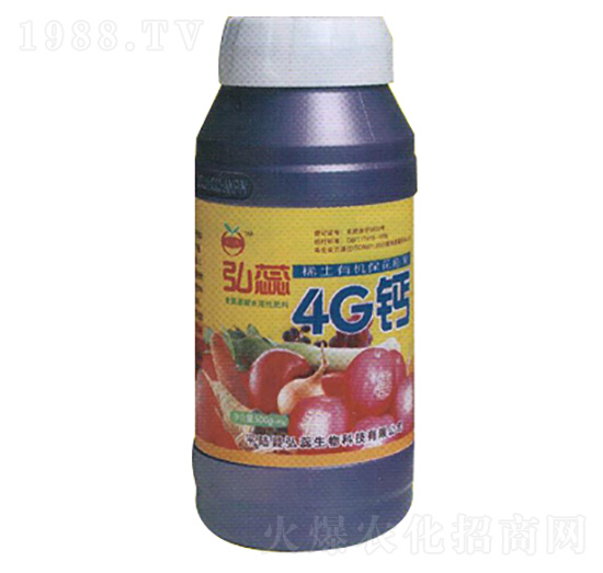 ����4G�}-��������