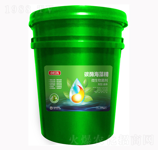 ̼ø���徫΢�������-С�t��-�f(w��n)���r(n��ng)��