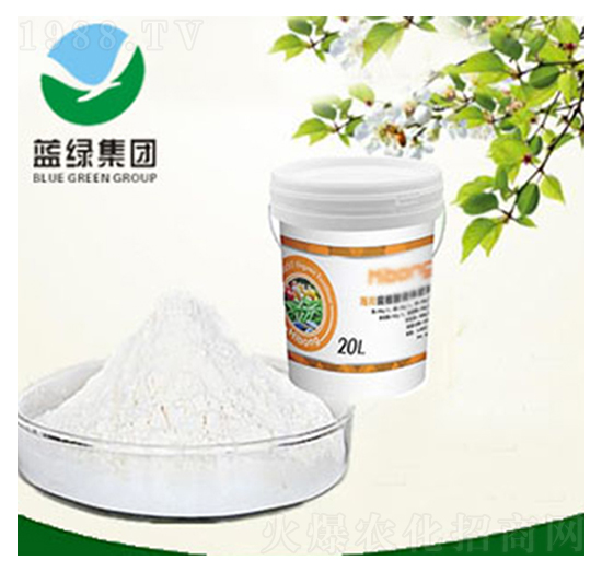 ������-��(��i)��˹����