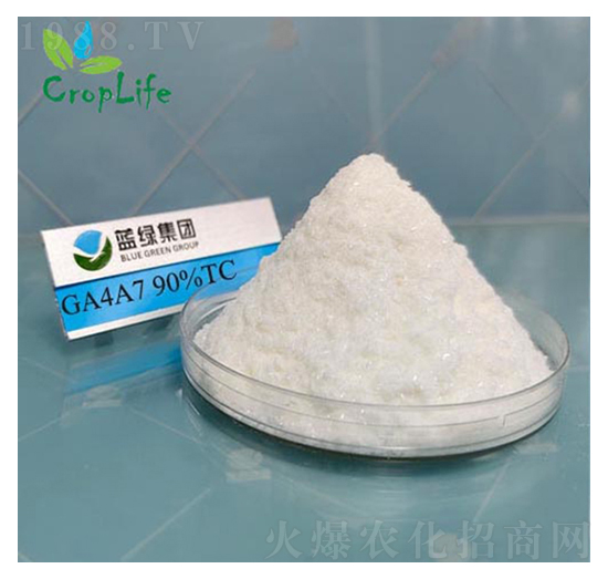 ��ù��A4A7-����˹����