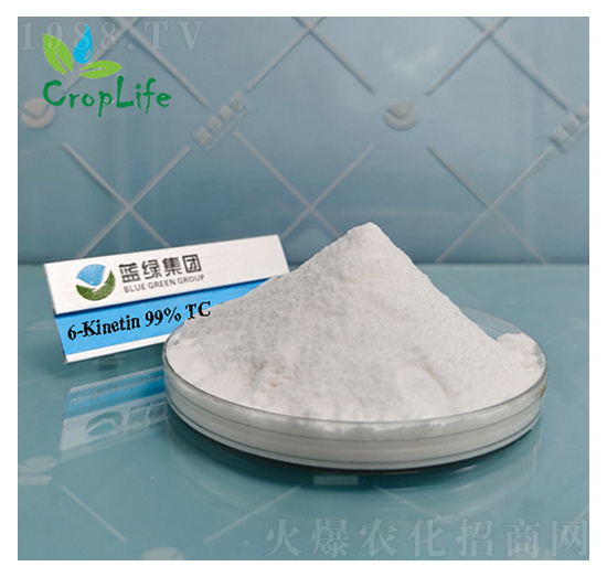 6-����������-����˹����