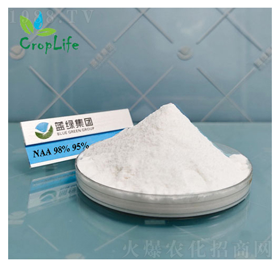 a�����ᣨNAA��-����˹����