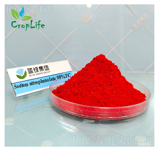 ��(f��)�����c-��(��i)��˹����