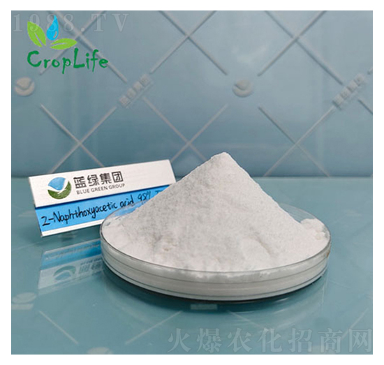 ��-��������-����˹����