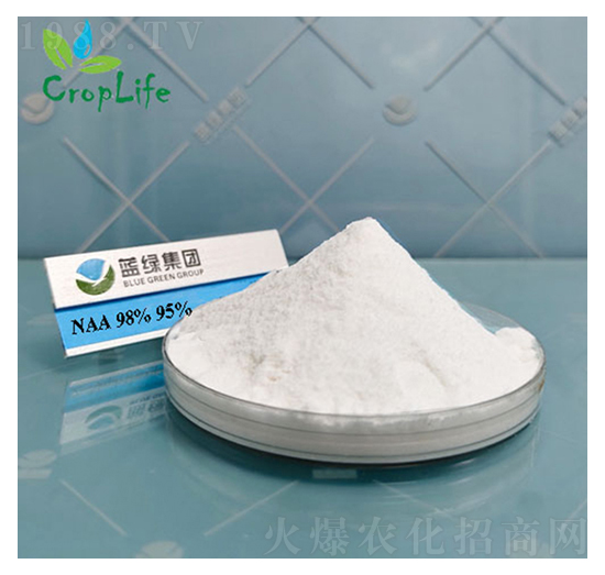 ��������-��(��i)��˹����