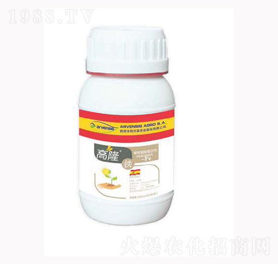 ��¡�F-¡�ꠖ