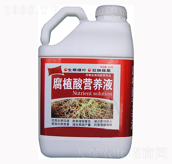 ��ֲ��I�B(y��ng)Һ-��������