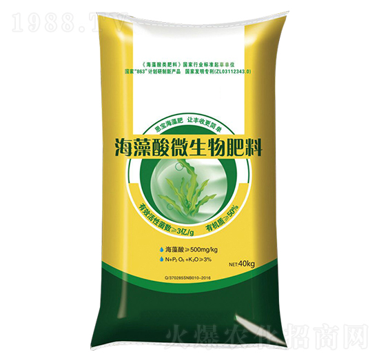 ������΢�������-��M�}(c��ng)