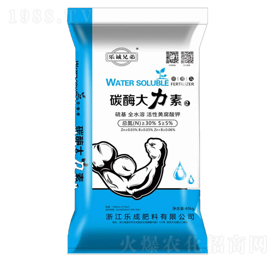 ̼ø������2-�����ֵ�-���ɷ���