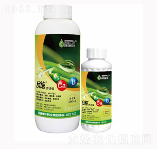 �}�V��-��ʩ-�W��˹