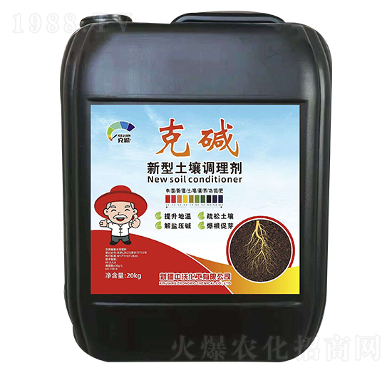 ���������{�턩-�ˉA-����