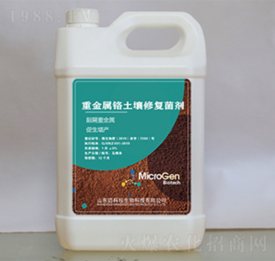 �ؽ����t�����ޏ;���-�~����