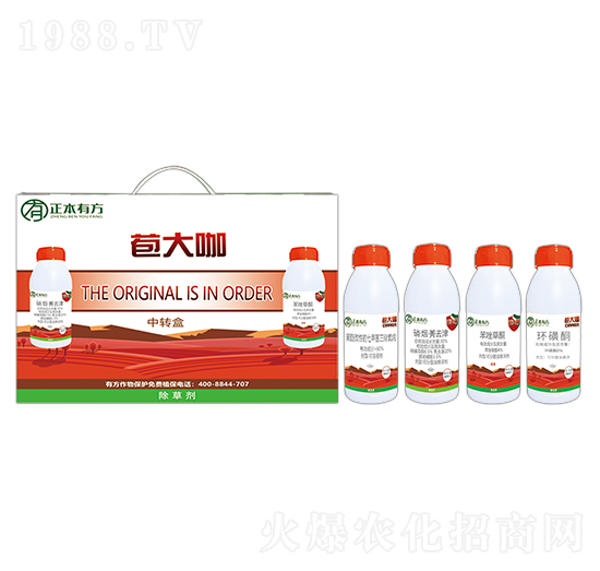 ��������݄�-����-�����з�