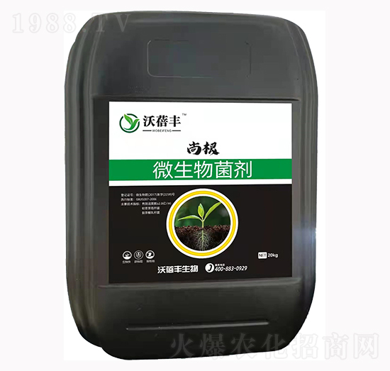 ΢�������-�и�-�����S