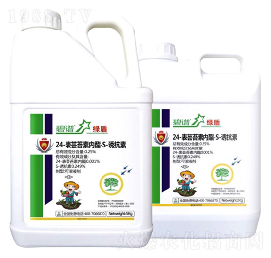 24-���|̦�؃�����S-�T����-����-�����