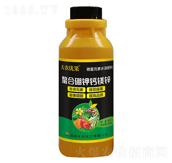 ��������}�V�\-���r(n��ng)��(y��u)��-���r(n��ng)����