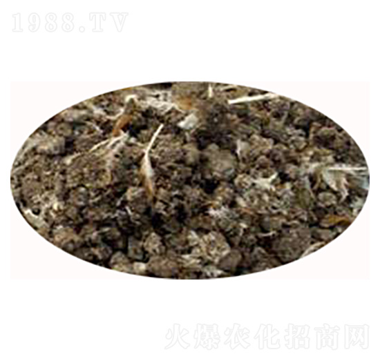 �������͸��u�S-���r(n��ng)�ʘI(y��)