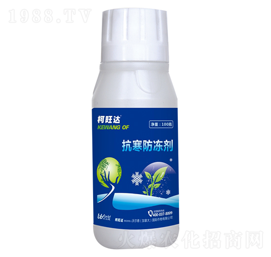 ����������-�����_-�֠���