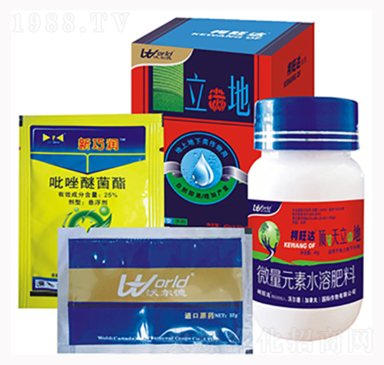 ���M��-�����_(d��)-�֠���