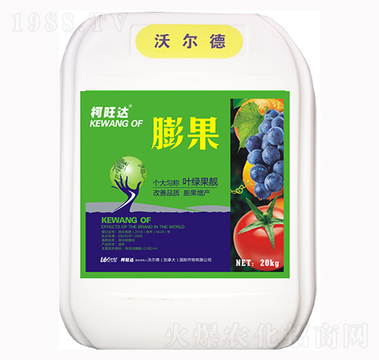 ���-�����_(d��)-�֠���