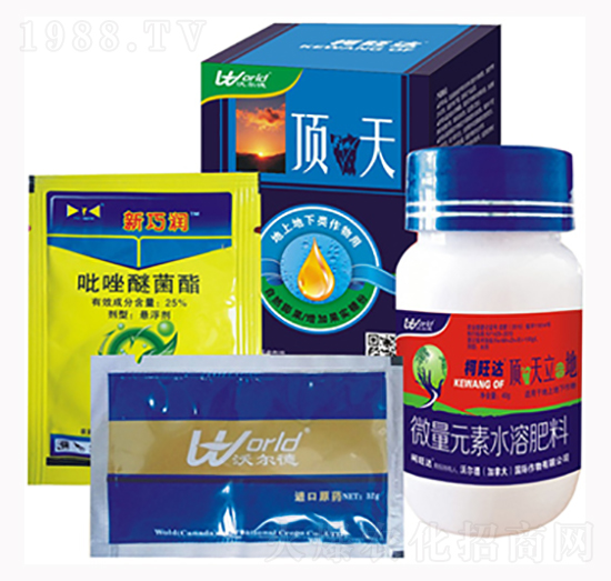 �����-�����_(d��)-�֠���