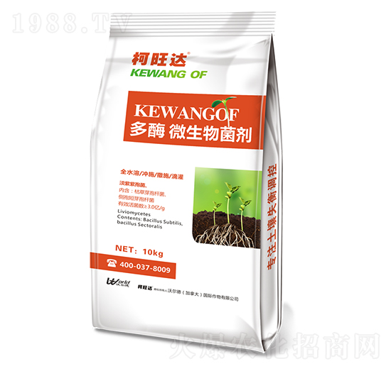 ��ø΢�������-�����_(d��)-�֠���