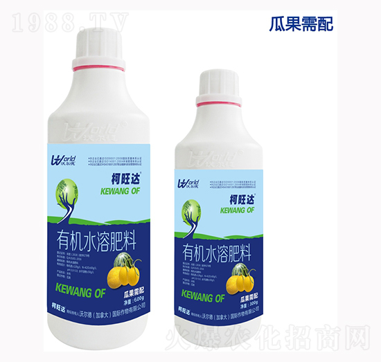 �Ϲ������~���-�����_-�֠���