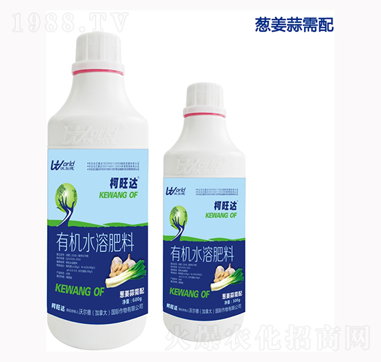 �[���⌣���~���-�����_-�֠���