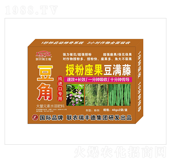 ���Ǽ��M�ڌ����ڷ�������?ji��)M��-(li��n)�r(n��ng)���S��