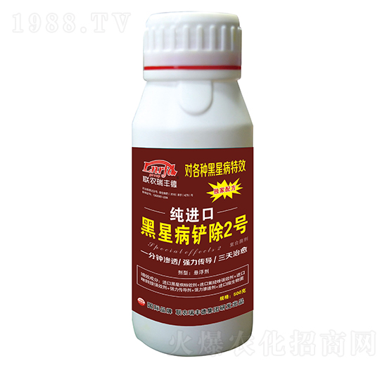 ΢�������-���M�ں��ǲ��P��2̖-���S��