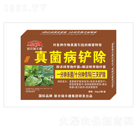 ΢�����-������P��-���S��