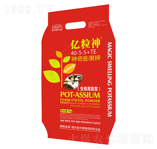 ��������40-5-5+TE-�|����-���S��